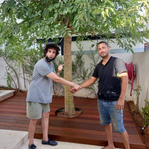 פרויקט עץ חדש – עבודת עץ מותאמת אישית, צל העץ